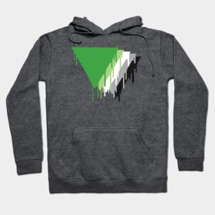 Aromantic Pride Hoodie